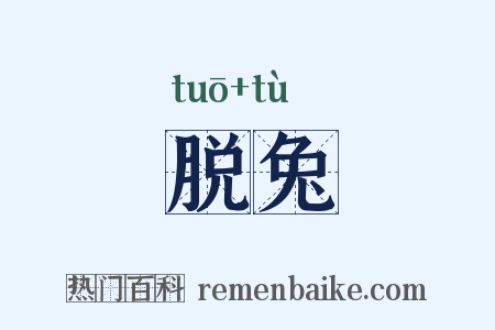 脱兔是什么意思的图片